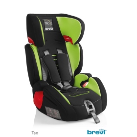Brevi Tao