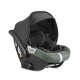Darwin Infant