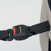 Dettaglio cinghia Top Tether - Seggiolino auto Da 0 a 6-12 anni Foppapedretti Circle i-Size
